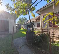 A garden with a family house in Čebovce, fencing, greenery, building in the background, sunny day.
