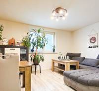 Living space with wood-patterned flooring, a sofa, and greenery in a family house.
