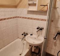 A bathroom in a family house, with a shower, bathtub, and sink, complemented by shelves.