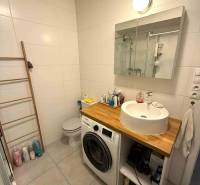 A bathroom with a washing machine and a sink in a 4-room apartment, next to the toilet and with a ladder radiator.