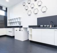 A kitchen in commercial premises with white cabinets, a black countertop, and unique decorations.