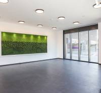 The interior of a commercial space with large windows and a green wall on the wall.