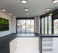 Commercial spaces with large windows and a vertical garden, floor with wood decor.