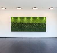 Interior commercial spaces with a vertical garden and flooring with a wood decor.