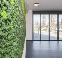 Commercial spaces with a vertical garden and large windows, allowing a view of the street.
