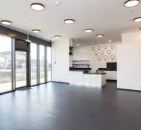 Commercial premises with a black floor and a living green wall in Bratislava on Súkennícka.