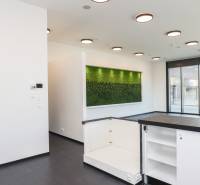 Interior of commercial spaces with large windows and a vibrant green wall.