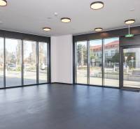 Bright commercial spaces with large windows and wood-patterned flooring.