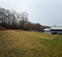 The garden of a family house in Ploské with a grassy area, a fence, and an adjacent forest.