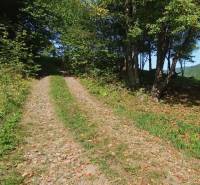 Nature in Horný Tisovník with a forest road surrounded by trees. Land - housing.