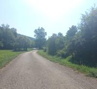 A path surrounded by nature in Horný Tisovník offers peaceful plots - living.