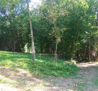 Meadow and forest vegetation on a plot in Horný Tisovník, suitable for living.