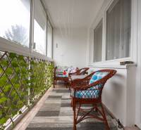 Glazed loggia of a 3-room apartment with garden rattan furniture and climbing plants.