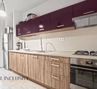 A kitchen in a 3-room apartment with purple cabinets and a wood-patterned floor.