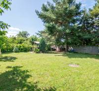 Garden at a 2-room apartment on SNP Street in Ivanka pri Dunaji with rich vegetation.