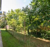 The garden next to the apartment building on SNP in Ivanka pri Dunaji with lush greenery.