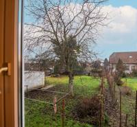 View from the window of a 2-room apartment to the garden with a tree near SNP Street in Ivanka pri Dunaji.
