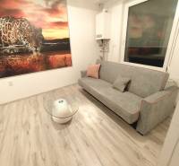 Living room in a two-room apartment with a sofa, glass table, and wooden decor flooring.