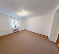 A spacious room in a 2-room apartment with a brown carpet and a window with a radiator.