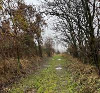 Sale Land – for living, Land – for living, Briežky, Bratislava - Nové