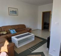 Living room in a 3-room apartment with a brown couch and plants on the windowsill.