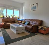 Living room with a brown couch, table, and decorations in a three-room apartment.