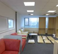 Office with sofas, furniture set, and exhibition area in commercial premises.