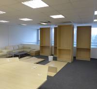 Commercial spaces with a light-colored sofa set, shelves, and tables with a wood decor.