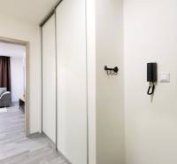 Interior of a 2-room apartment with a wooden decor floor, hallway and view into the living room.