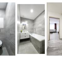 Bathroom and hallway with wood decor flooring in a 2-room apartment.