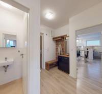 Interior of a 3-room apartment with a wooden decor floor, a coat closet, and a sink.