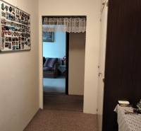 A hallway in a 3-room apartment with a carpet, wall decoration, and a view into the living room.