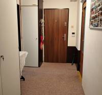 A hallway in a 3-room apartment with wardrobes and doors with a wooden decor.