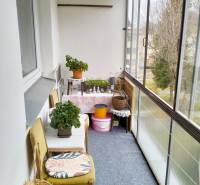 A glazed balcony with flowers and a chair, 3-room apartment.
