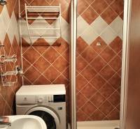A bathroom in a studio apartment with a washing machine, shower corner, and ladder dryer.