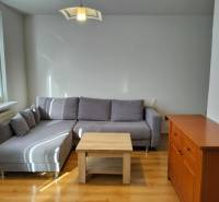 Living room of a one-bedroom apartment with a gray sofa, wood-patterned flooring, and wooden furniture.