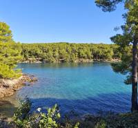 A view of the crystal-clear blue sea and pine forest near a holiday apartment in Hvar.