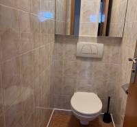 A toilet in a family house with tiles and a mirror, on the floor with a wooden decor.