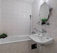 Bathroom with a bathtub and a sink, ceramic tiles, houseplant. 4-room apartment.