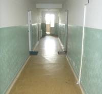 The hallway in the apartment building with light green walls leads to the balcony.