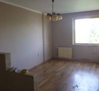 Studio apartment with wood-patterned flooring, plain walls, a window, and a chandelier.