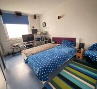 Bedroom in a three-room apartment with a colorful carpet, blue bed linen, and a television.