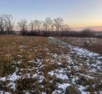 A snowy field with grass and trees at sunset in Tvrdomestice.