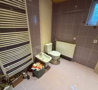 A bathroom in a family house with purple tiles and sanitary ware.