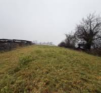 A grassy slope in Tvrdomestice bordered by wooden fencing and trees.
