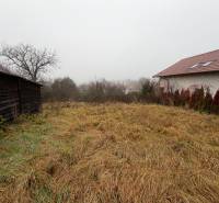 A garden at a family house in Tvrdomestice with an old wooden shed and a dilapidated lawn.