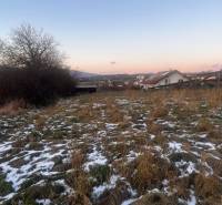A landscape in Tvrdomestice with a family house, dry grass, and remnants of snow.