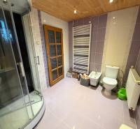 A bathroom in a family house with purple tiles, a shower corner, and a wooden ceiling decor.