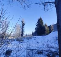Snow-covered lands in Podvysoká with visible trees and shrubs.