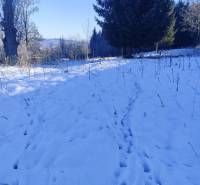 Snow-covered residential plots in Podvysoká with forest vegetation in the background.